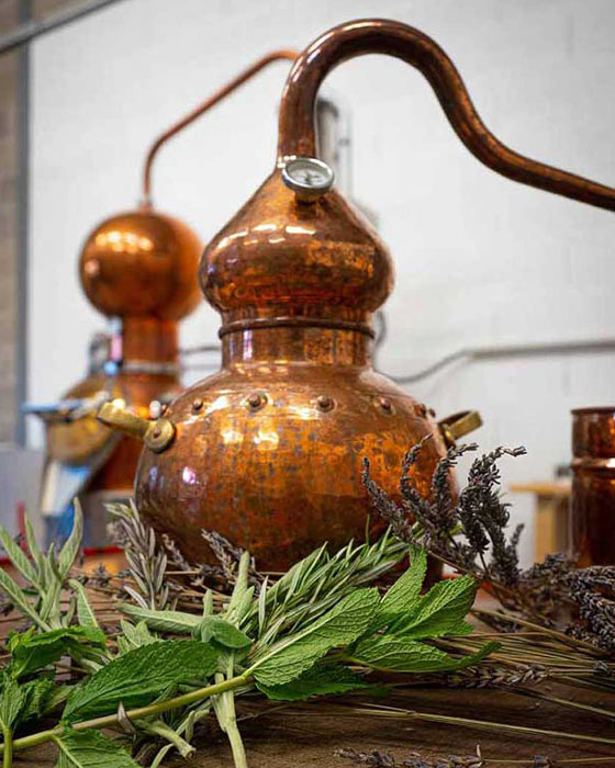 Alambic_distillerie_de_strasbourg